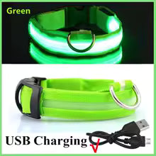 Rechargeable Luminous Collar Adjustable Led Glowing Dog