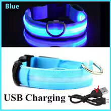 Rechargeable Luminous Collar Adjustable Led Glowing Dog