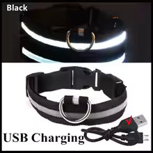 Rechargeable Luminous Collar Adjustable Led Glowing Dog