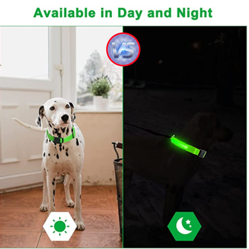 Rechargeable Luminous Collar Adjustable Led Glowing Dog