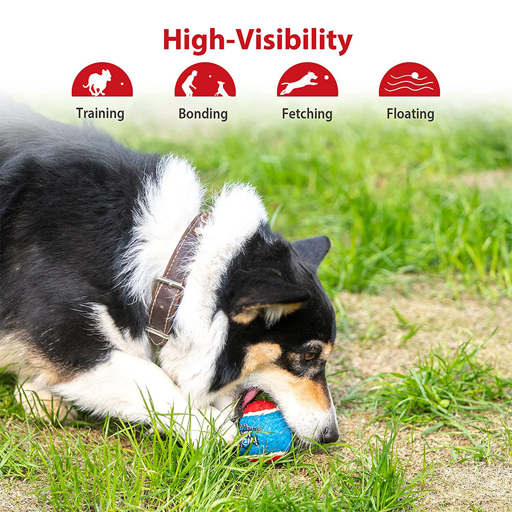 Pet Dog Squeaky Tennis Ball