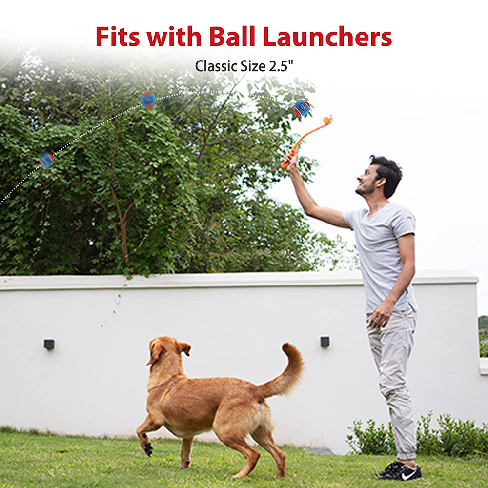 Pet Dog Squeaky Tennis Ball