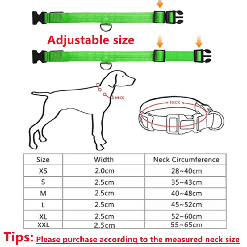 Rechargeable Luminous Collar Adjustable Led Glowing Dog