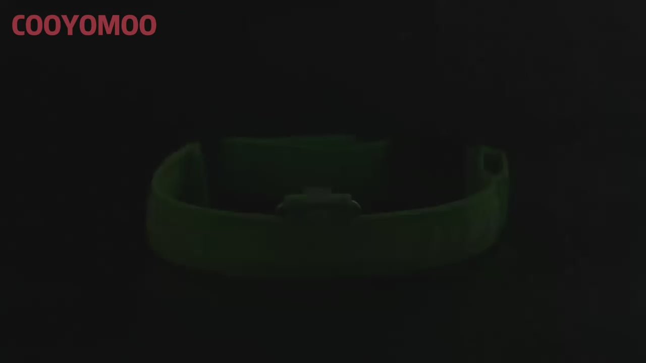 Rechargeable Luminous Collar Adjustable Led Glowing Dog